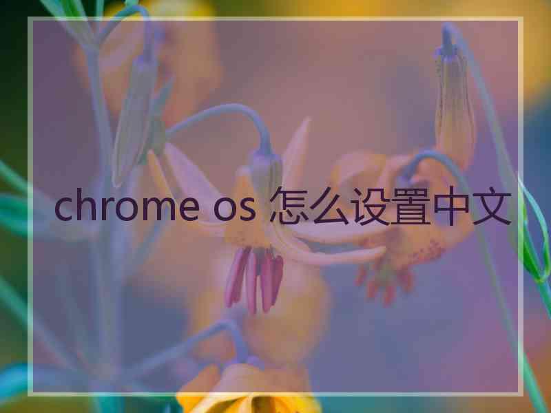 chrome os 怎么设置中文