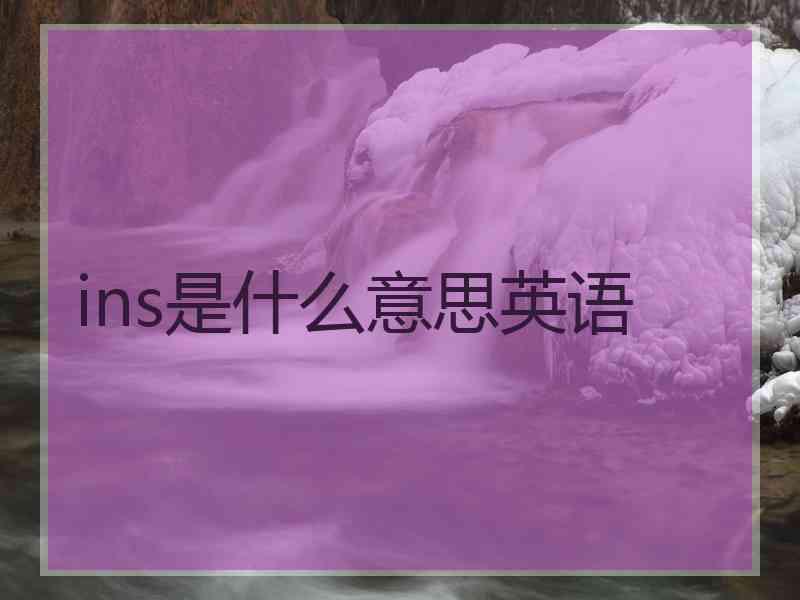 ins是什么意思英语