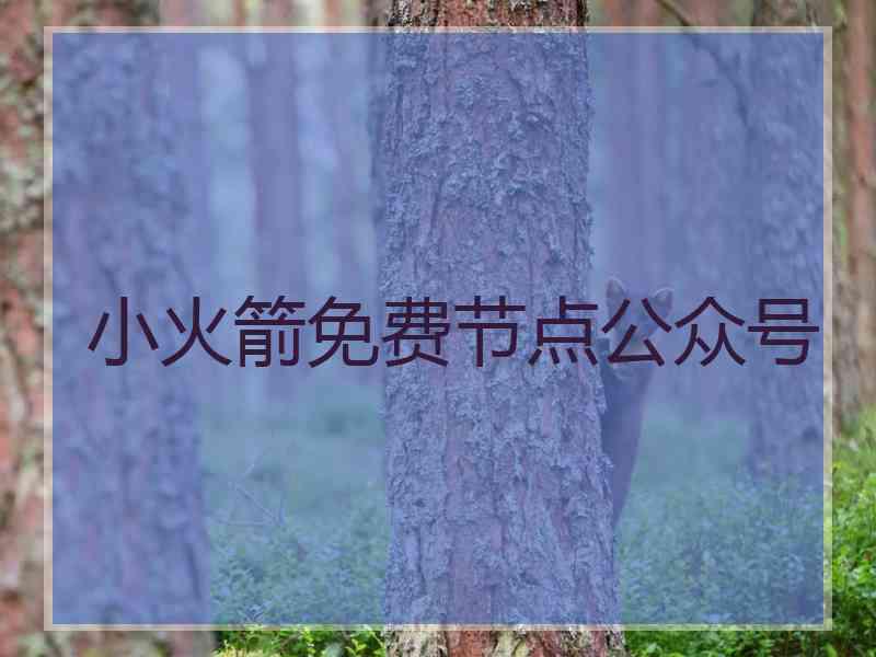 小火箭免费节点公众号