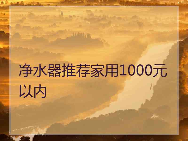 净水器推荐家用1000元以内