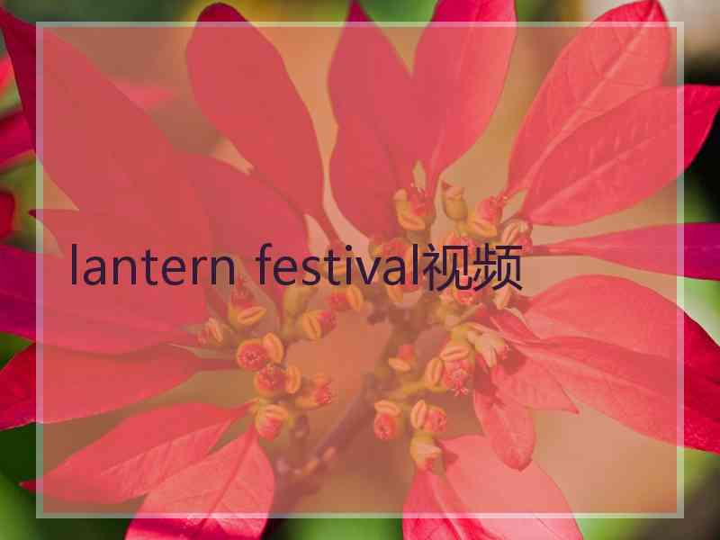 lantern festival视频