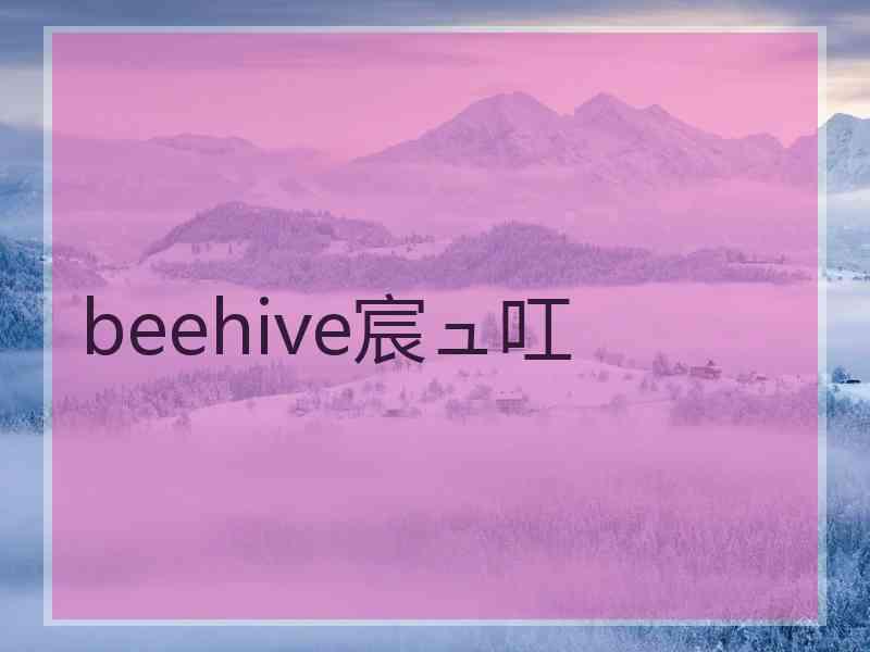 beehive宸ュ叿