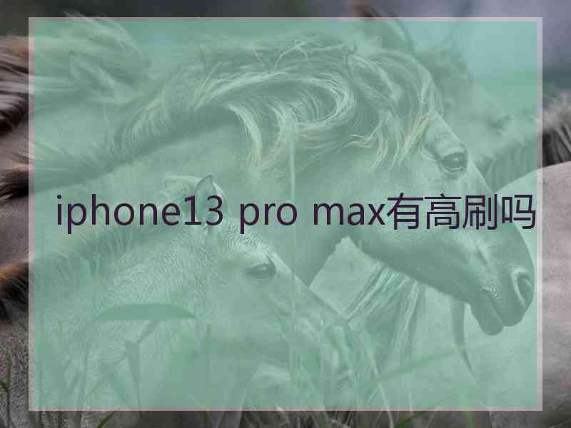 iphone13 pro max有高刷吗