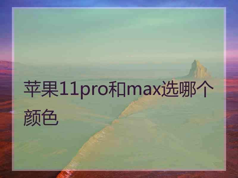 苹果11pro和max选哪个颜色