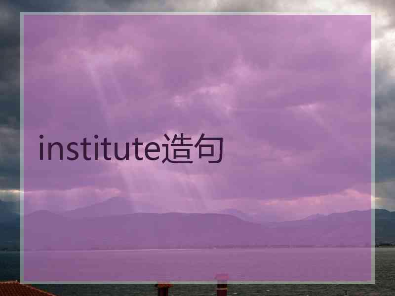 institute造句