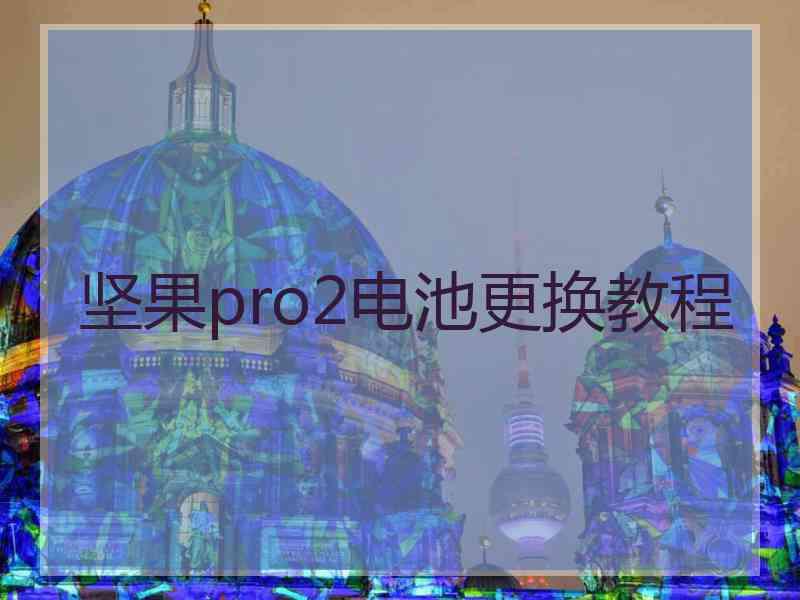 坚果pro2电池更换教程