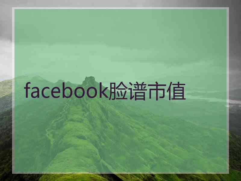 facebook脸谱市值