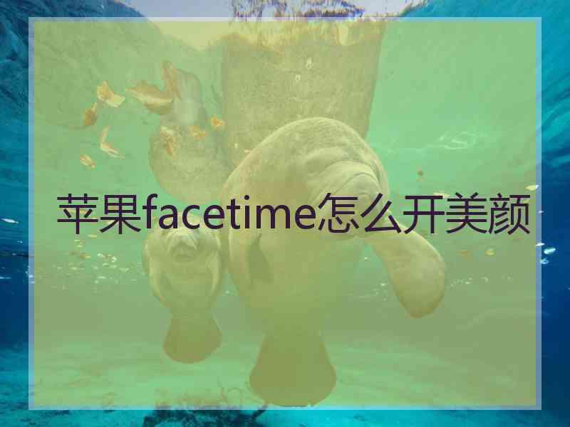 苹果facetime怎么开美颜