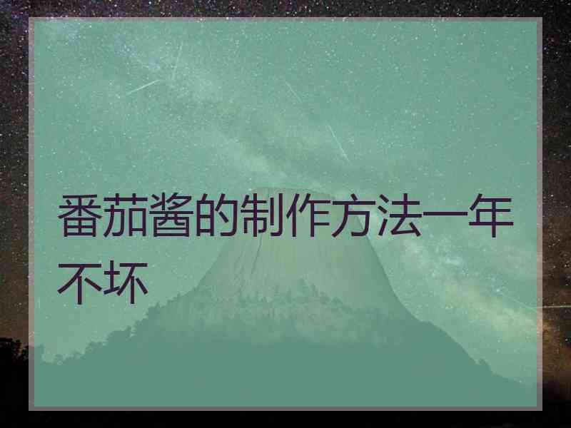 番茄酱的制作方法一年不坏