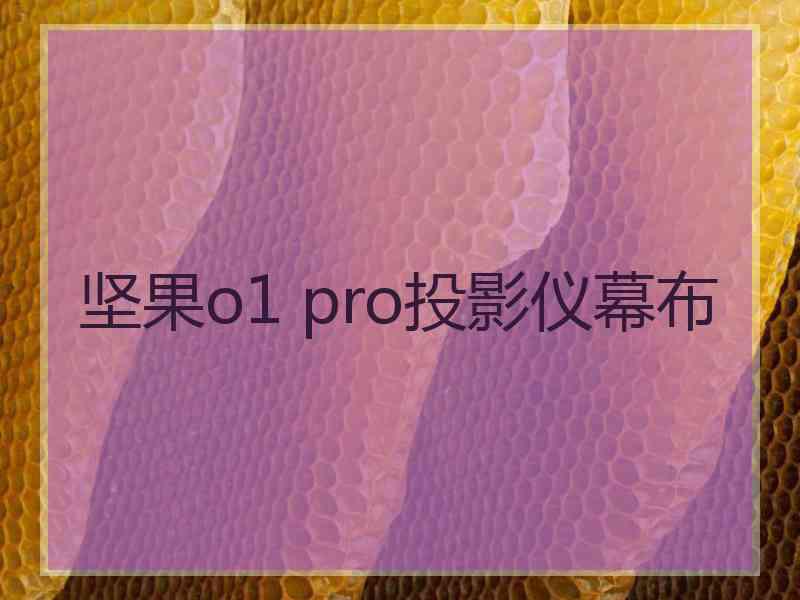 坚果o1 pro投影仪幕布