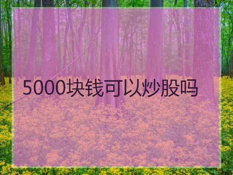 5000块钱可以炒股吗