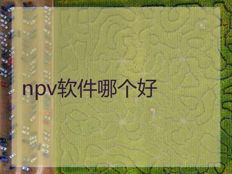 npv软件哪个好