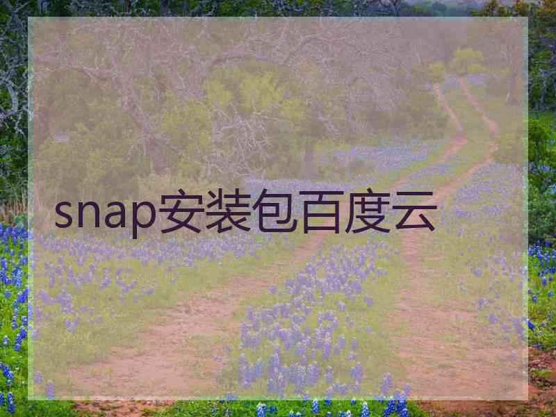 snap安装包百度云