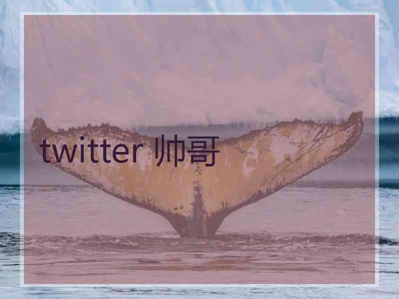 twitter 帅哥