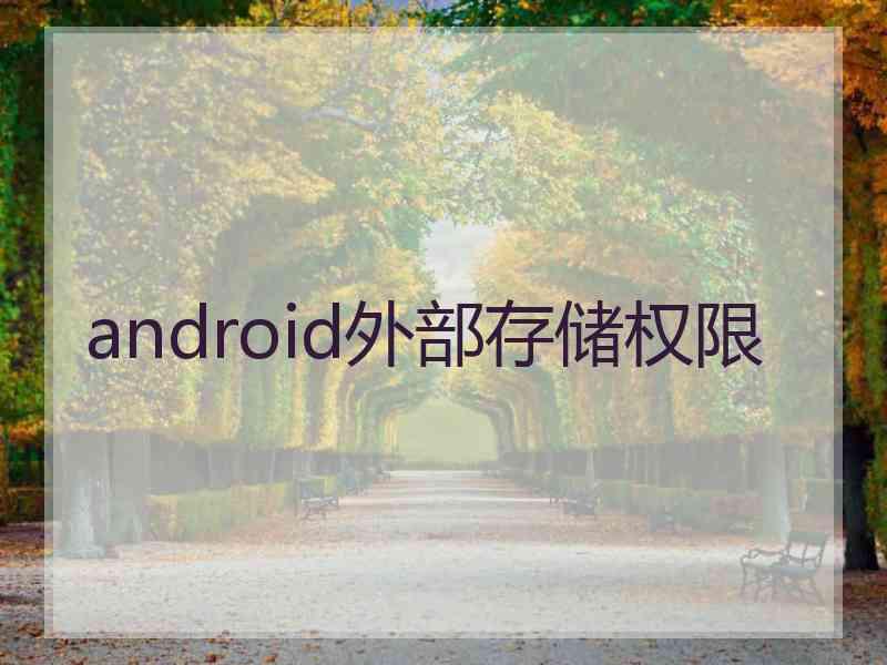 android外部存储权限