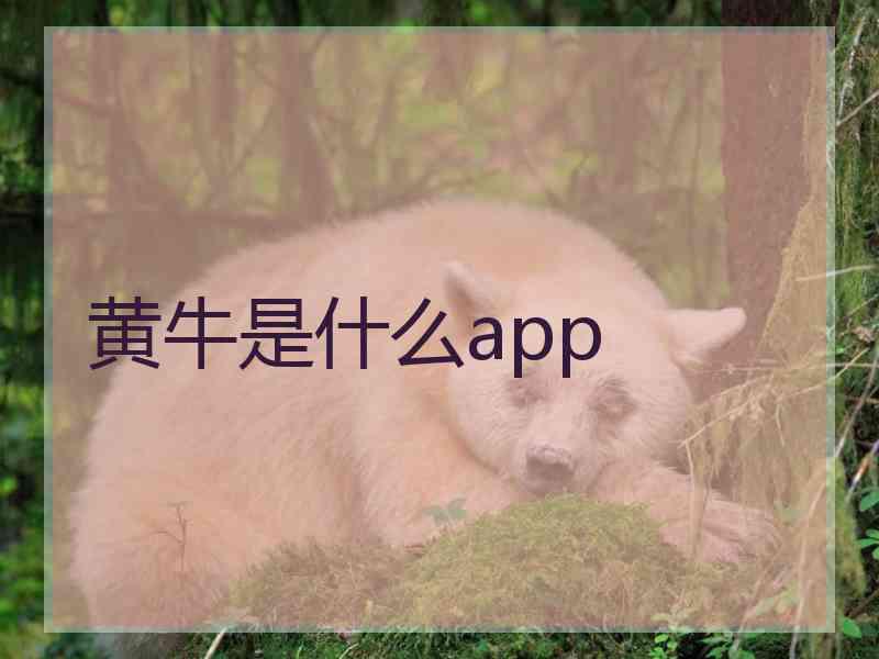 黄牛是什么app