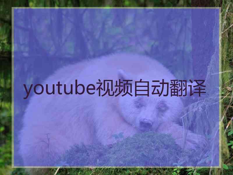 youtube视频自动翻译