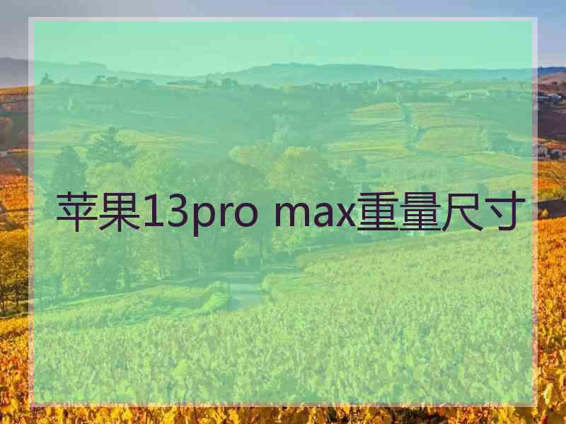 苹果13pro max重量尺寸