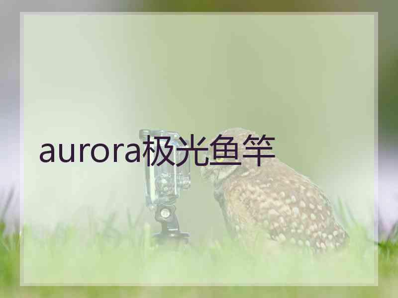 aurora极光鱼竿