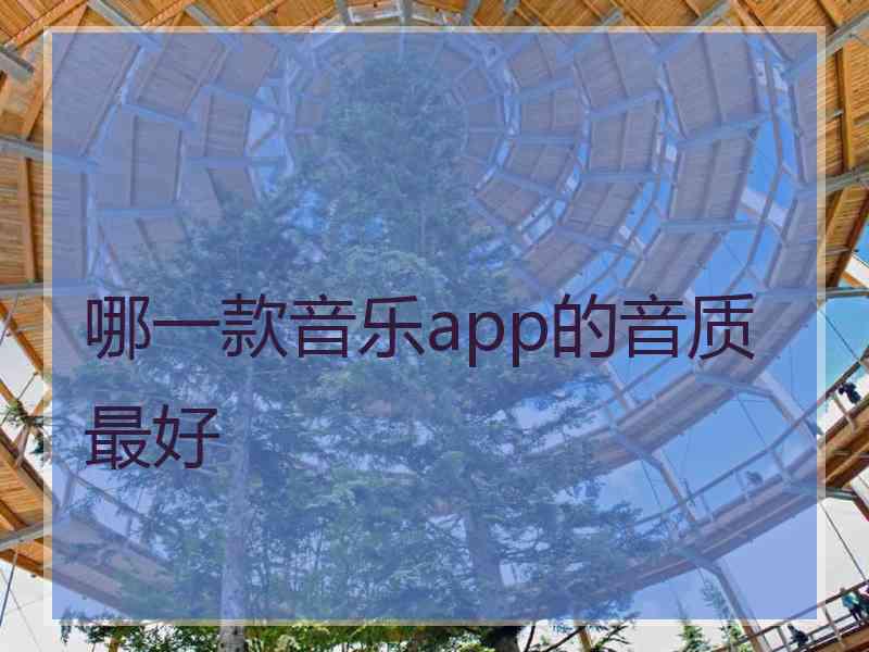 哪一款音乐app的音质最好