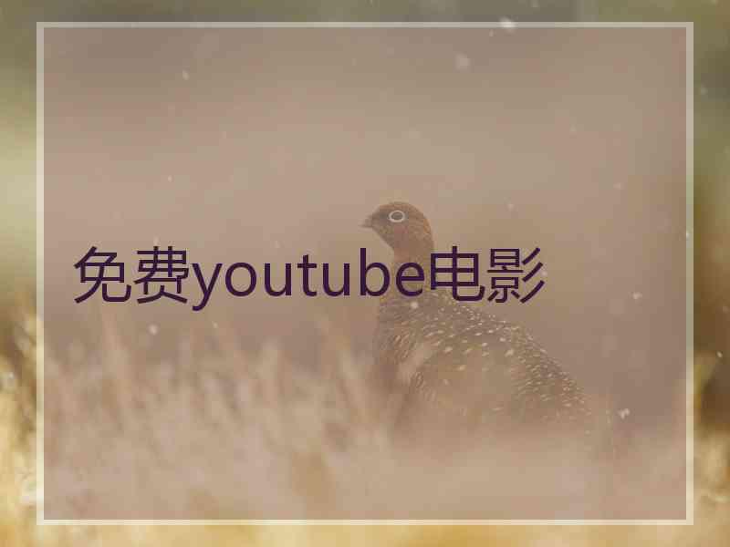 免费youtube电影