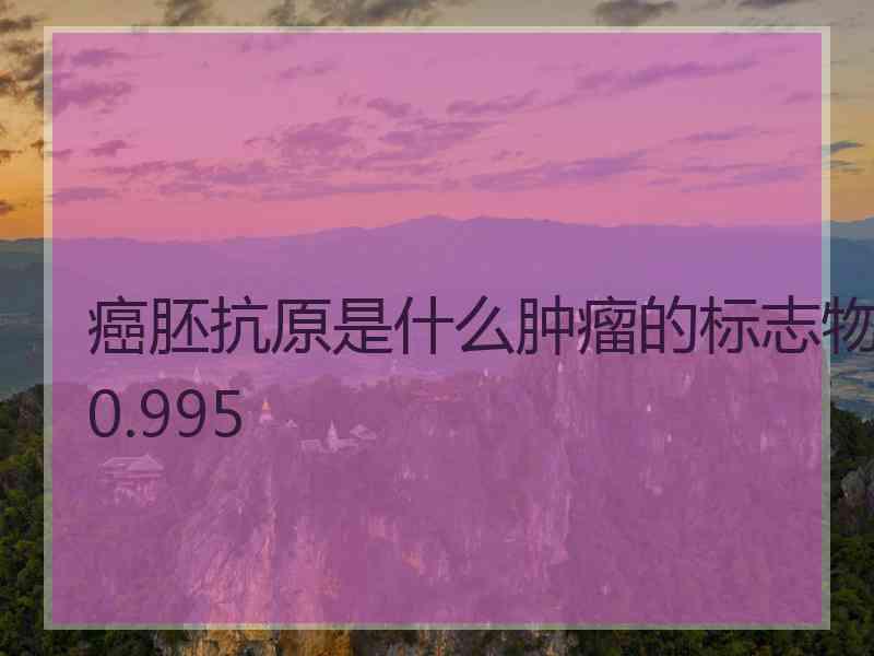 癌胚抗原是什么肿瘤的标志物0.995