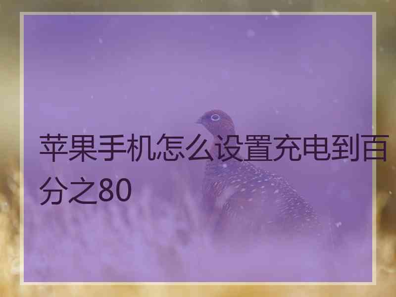 苹果手机怎么设置充电到百分之80