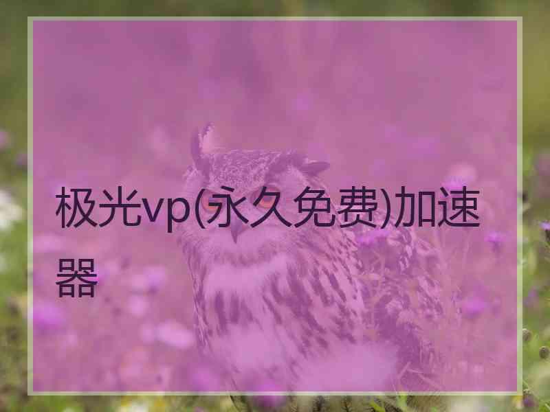 极光vp(永久免费)加速器