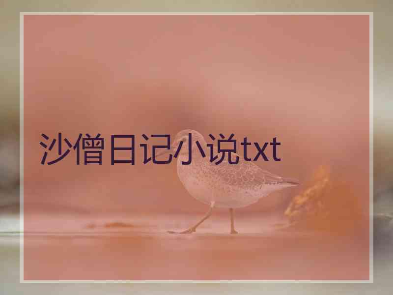 沙僧日记小说txt