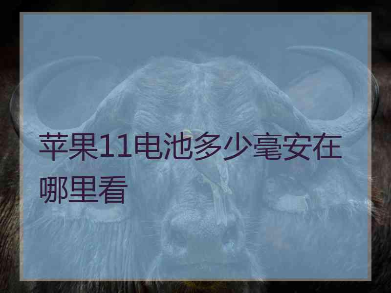 苹果11电池多少毫安在哪里看