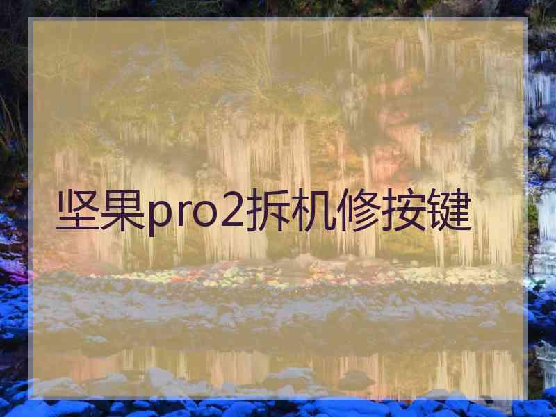 坚果pro2拆机修按键