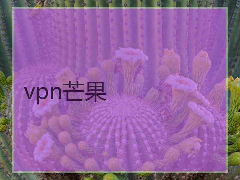 vpn芒果