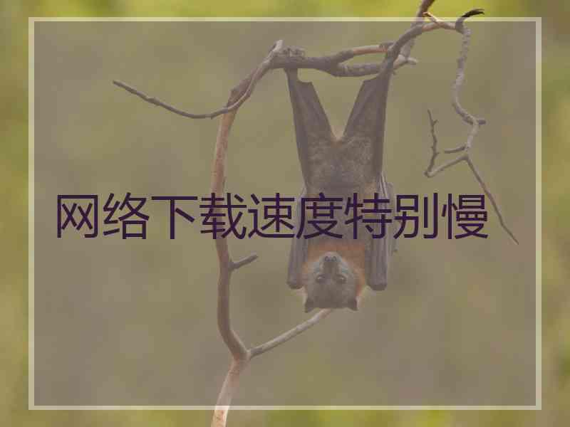 网络下载速度特别慢