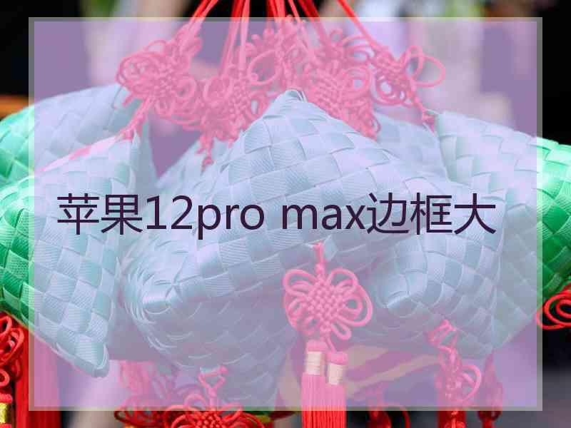 苹果12pro max边框大