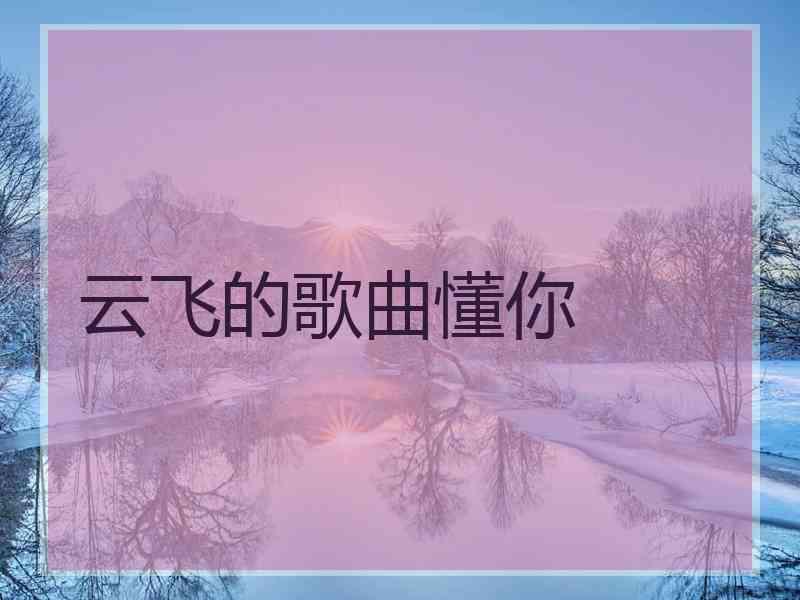 云飞的歌曲懂你