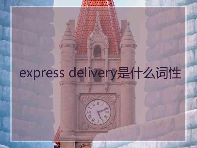 express delivery是什么词性