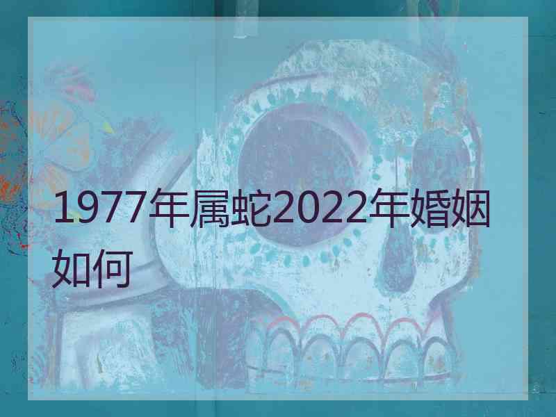 1977年属蛇2022年婚姻如何