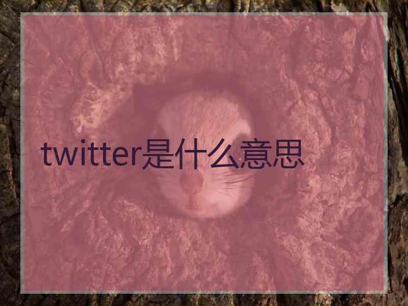 twitter是什么意思