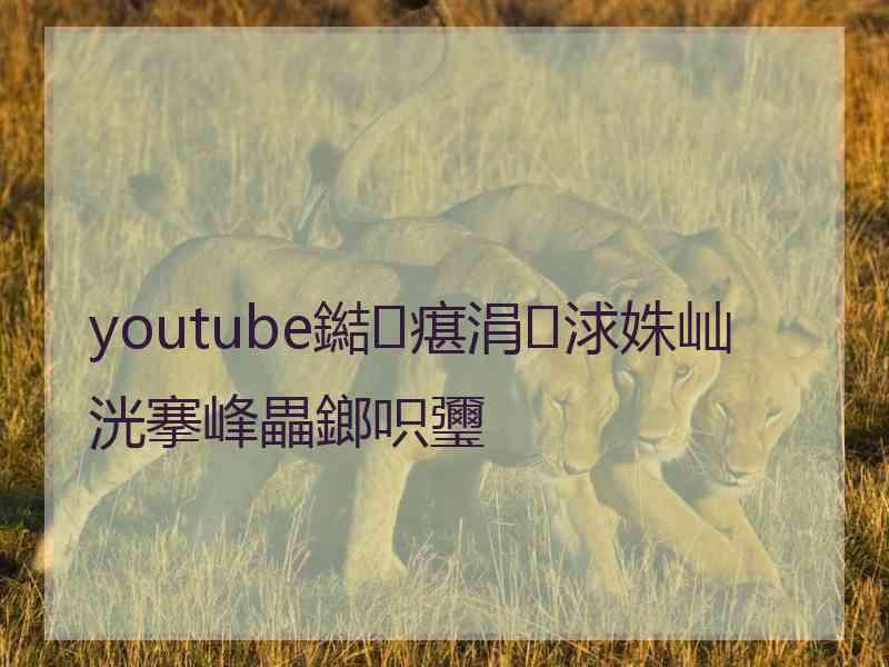 youtube鐑瘎涓浗姝屾洸搴峰畾鎯呮瓕