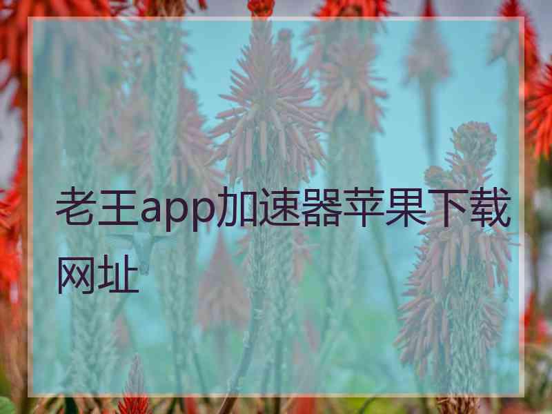 老王app加速器苹果下载网址