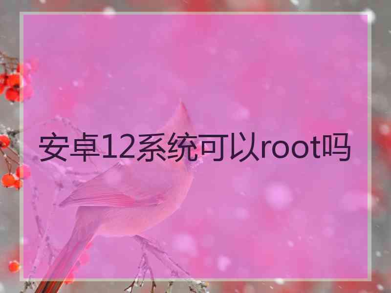 安卓12系统可以root吗