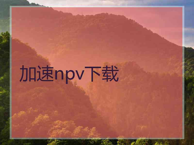 加速npv下载