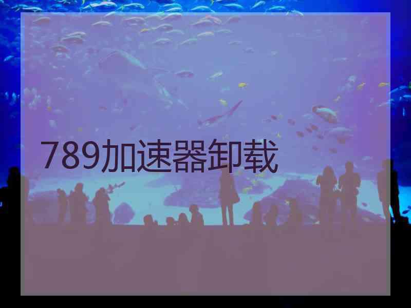 789加速器卸载