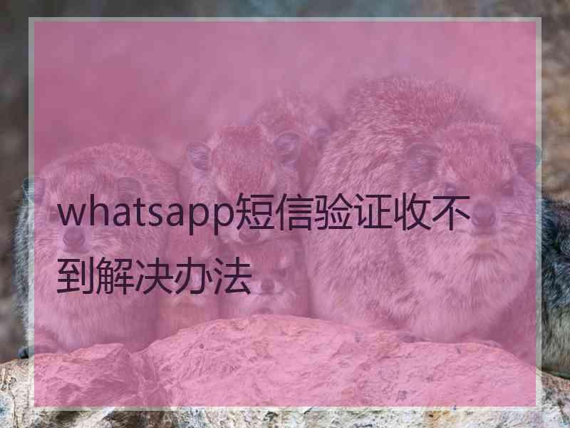 whatsapp短信验证收不到解决办法