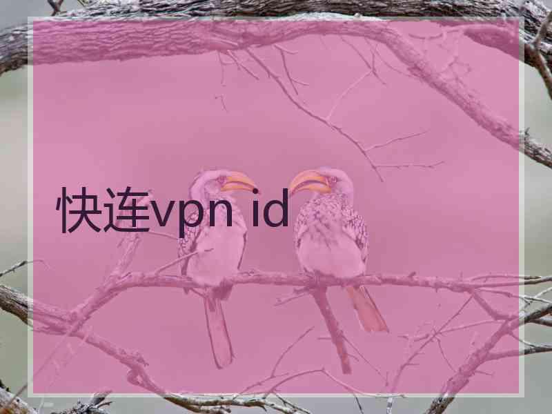 快连vpn id