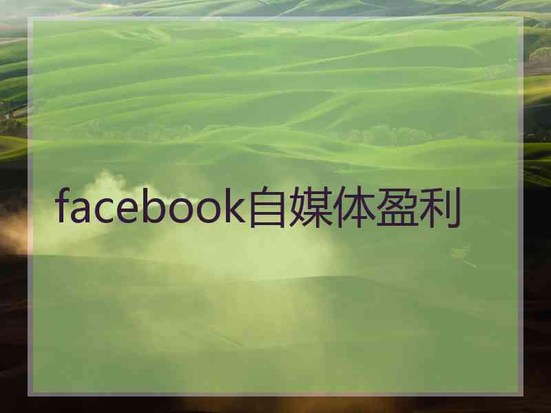 facebook自媒体盈利