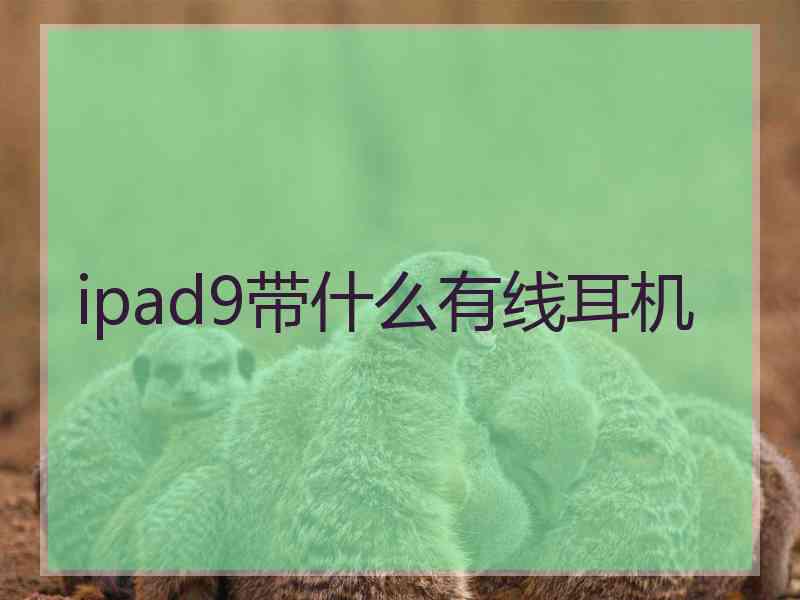 ipad9带什么有线耳机