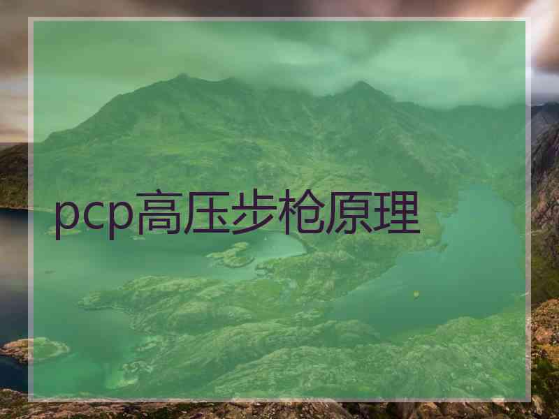 pcp高压步枪原理