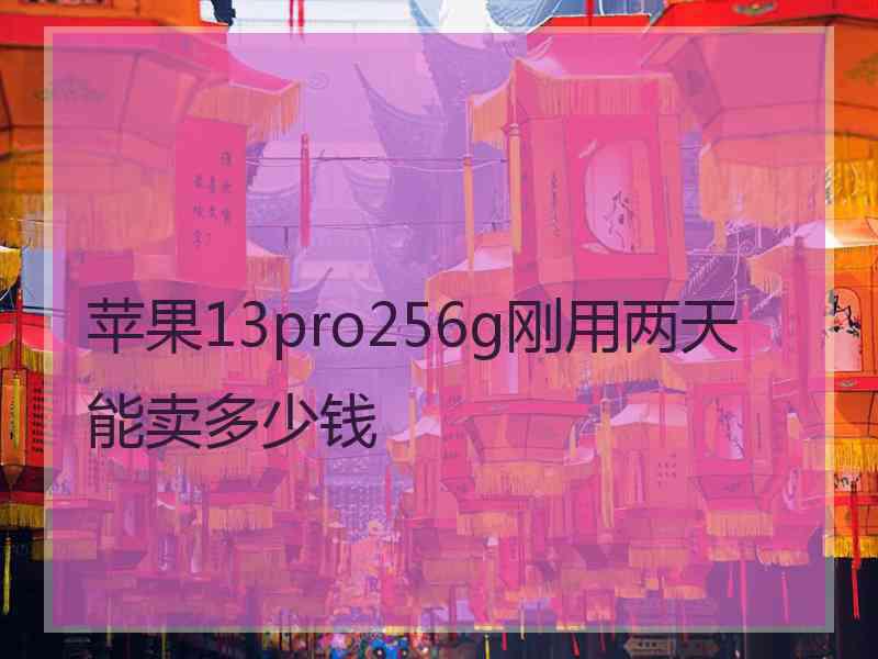 苹果13pro256g刚用两天能卖多少钱