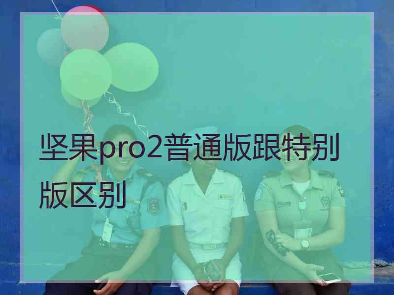 坚果pro2普通版跟特别版区别